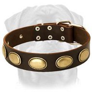 Retro Rulz - Gorgeous Vintage Dog Leather Collar - Best Dog Product