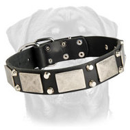 Vintage Collar for Rottweilers - Studded with Branded Elements - Great Invention for Canines