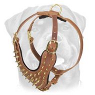 Special Brass Spiked Leather Dog Harness - Exotic Canine Professional Wear