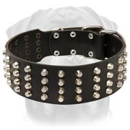 Pyramid Studded Leather Rottweiler Breed Collar-2 Inch Size