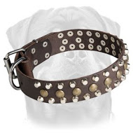 Leather Dog Collar with Studs for Rottweiler