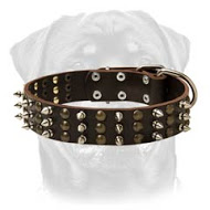 Rottweiler Studded and Spiked Leather Dog Collar