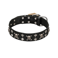 FDT Artisan 'Rock 'n' Roll Style' Fancy Leather Rottweiler Collar with Skulls, Bones and Studs 1 1/2 inch (40 mm) wide