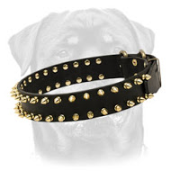 Gorgeous Wide Leather Dog Collar With Brass Spikes