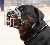 Rottweiler Dog Muzzles