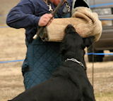 Dog protection sleeves
