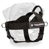 SAR Best Nylon Dog Harness - Handmade Multitasking Rottweiler Harness