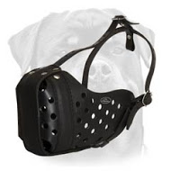 Leather dog muzzle for Rottweiler agitation training