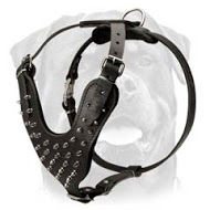 De Luxe Spiked Leather Rottweiler Harness - Strongest Handmade Walking Dog Harness