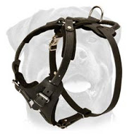 Rottweiler Agitation/ Protection Leather Harness