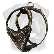 Exquisite Barbed Wire Painted Leather Harness for Your Rottweiler