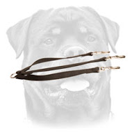 Stitched Triple dog leash nylon coupler for walking 3 dogs-LN103