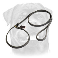 Anywhere Fast Handling leash choke collar combo for Rottweiler