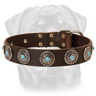 RotteLeather Dog Collar & Silver Plated Circles Blue Stones