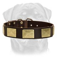 Handcrafted Leather Dog Collar With Vintage Massive Plates