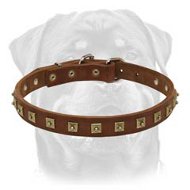 Studded Leather Dog Collar-Skilfully Crafted Rottweiler Breed Collar