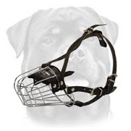 Rottweiler Wire Basket Dog Muzzle