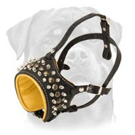 Royal Spiked Leather Dog Muzzle - Nappa Padded Dog Muzzle