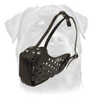 Fine Leather Dog Muzzle for Agitation/Attack Work with Rottweiler