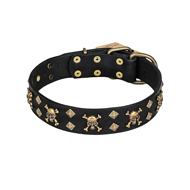 'Jolly Rojer' FDT Artisan Rottweiler Leather Dog Collar with Pirate Skulls and Studs - 1 1/2 inch (40 mm) wide