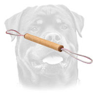 Puppy Training Jute Roll