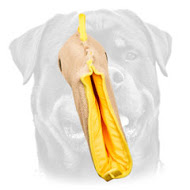 Basic Training Jute Puppy Sleeve