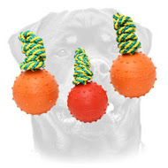 Water Rubber Bite Ball on a String for Rottweiler - 2 3/4 inch (7 cm)