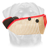 Rottweiler Sleeve Meant for Prosperous Dog Bite Training