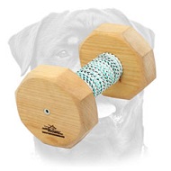 Training Dumbbell made of quality Hard Wood - 400g
