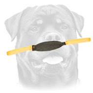 Leather Tug for Young Dog Training