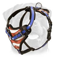 American Flag Painted Agitation/Protection Harness for Rottweiler