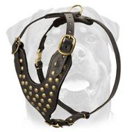 Luxury Studded Walking Dog Harness- Rottweiler Leather Worthy Harness