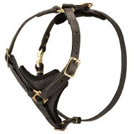 Tracking Walking Leather Harness for Rottweiler