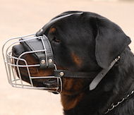 Wire Basket Dog Muzzle for Rottweiler