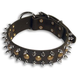 dog collars studded