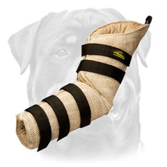 Rottweiler bite dog sleeve hidden protection