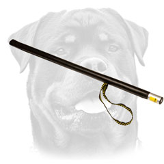 Rottweiler professional attack motivation     stick