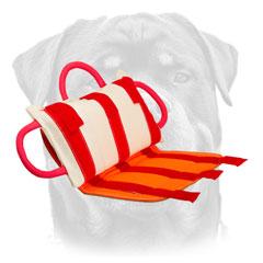 Rottweiler professional bite pillow with removable cover