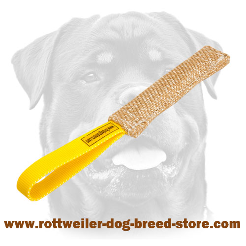 Jute Rottweiler bite tug for puppies