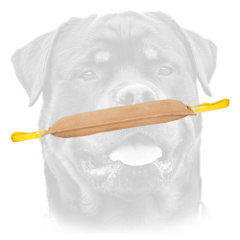 Professional tug for young Rottweilers