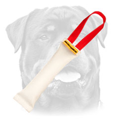 Rottweiler puppy professional training tug with one handle