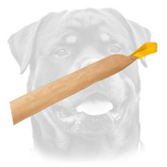 Quality Rottweiler training tug of leather with handles