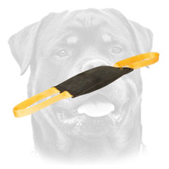 Rottweiler tug for bite skills     improvement