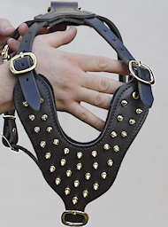 Padded Spiked Dog Harness for Rottweiler with Brass spikes