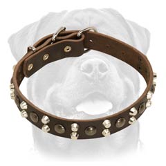 Designer leather dog collar