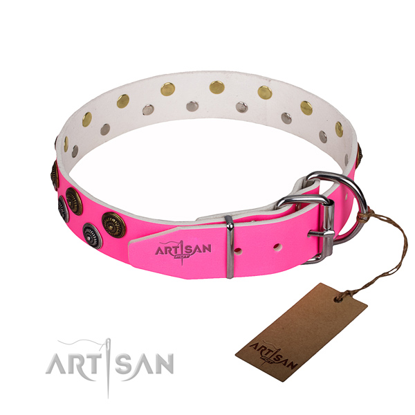 Everyday walking leather collar with studs for your canine
