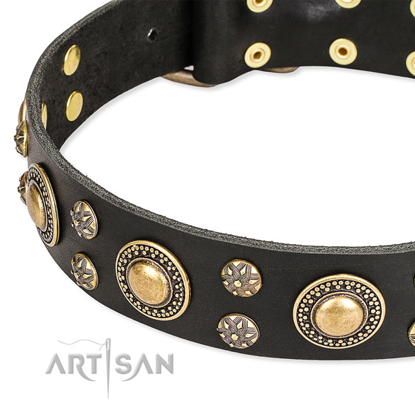 Stylish walking full grain leather collar with rust-proof buckle and D-ring
