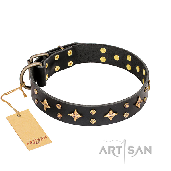 Exceptional full grain natural leather dog collar for stylish walking