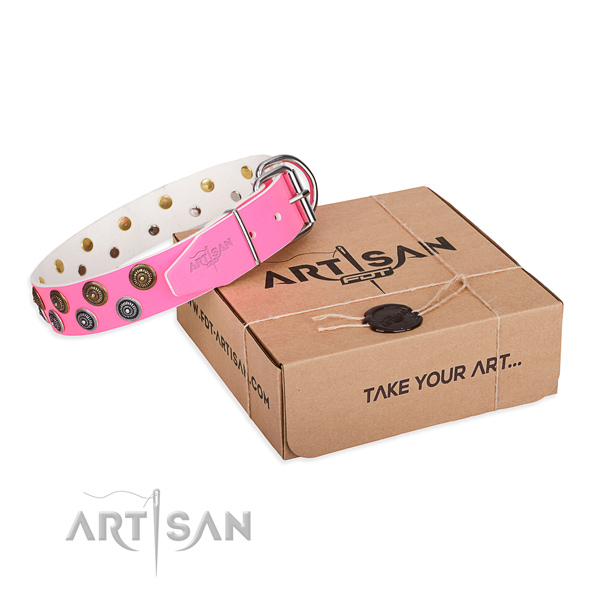 Embellished full grain leather dog collar for everyday use