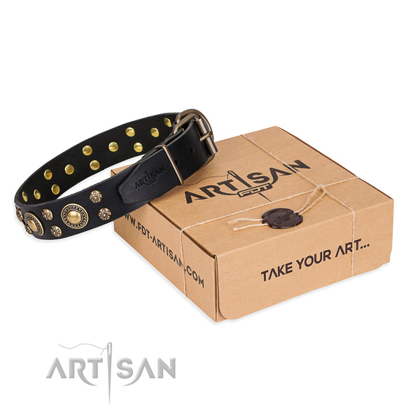 Stylish design full grain natural leather dog collar for stylish walks
